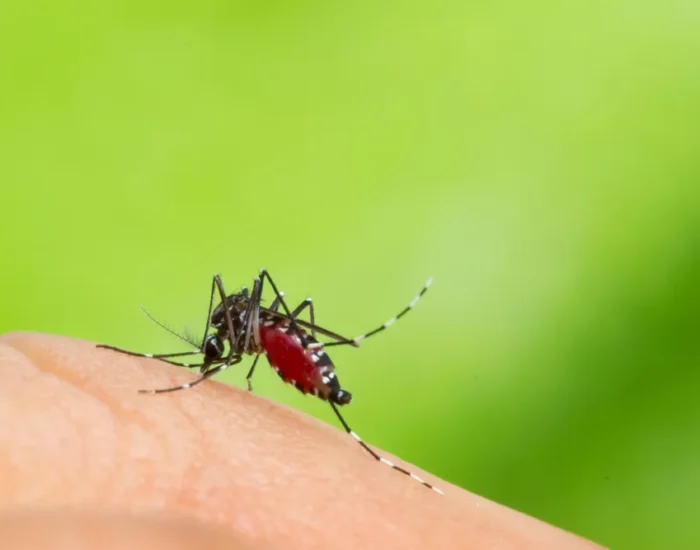 Dengue: Characteristics and Laboratory Diagnosis