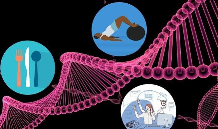 O Impacto da Epigenética e do Estilo de Vida na Prevenção da Doença de Alzheimer